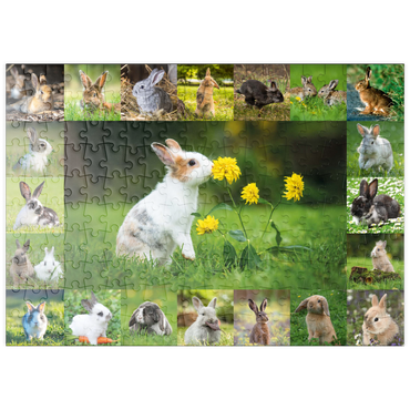 Darstellung des Puzzle Motivs puzzleplate Bunnies & Flowers - Collage No. 1 200 Puzzle