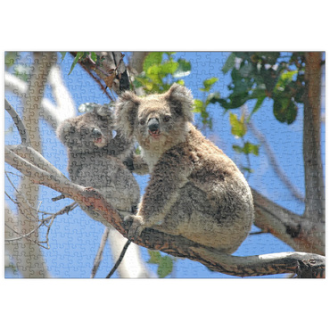 Darstellung des Puzzle Motivs puzzleplate Bedrohte Tierarten - Koalas 500 Puzzle