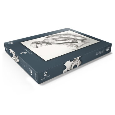 Darstellung des Puzzle Motivs Portrait of Louis Valtat (1904) by Pierre-Auguste Renoir 200 Puzzle Schachtel Ansicht1