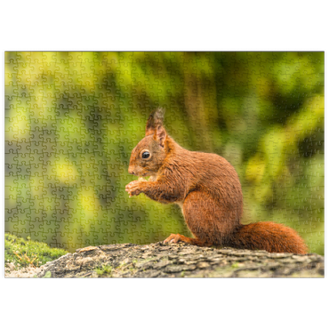 Darstellung des Puzzle Motivs puzzleplate Rotes Eichhörnchen im Wald essen 500 Puzzle