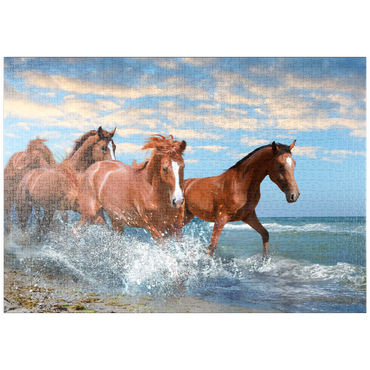 Darstellung des Puzzle Motivs puzzleplate Schöne Pferde laufen am Strand durch das Meer 1000 Puzzle