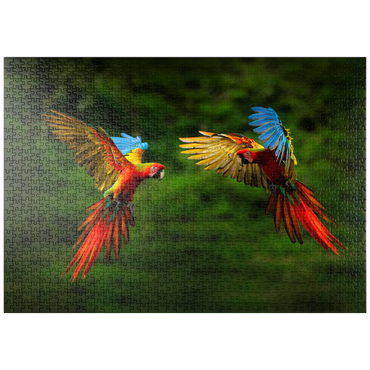 Darstellung des Puzzle Motivs puzzleplate Papageien im Wald, Papagei fliegt in dunkelgrüner Vegetation 1000 Puzzle