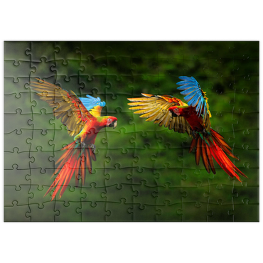 Darstellung des Puzzle Motivs puzzleplate Papageien im Wald, Papagei fliegt in dunkelgrüner Vegetation 100 Puzzle