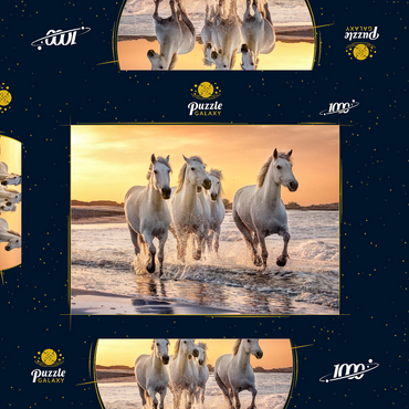 Darstellung des Puzzle Motivs Weiße Camargue Pferde galoppieren am Strand, Frankreich 1000 Puzzle Schachtel 3D Modell
