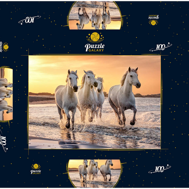 Darstellung des Puzzle Motivs Weiße Camargue Pferde galoppieren am Strand, Frankreich 100 Puzzle Schachtel 3D Modell