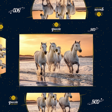 Darstellung des Puzzle Motivs Weiße Camargue Pferde galoppieren am Strand, Frankreich 500 Puzzle Schachtel 3D Modell