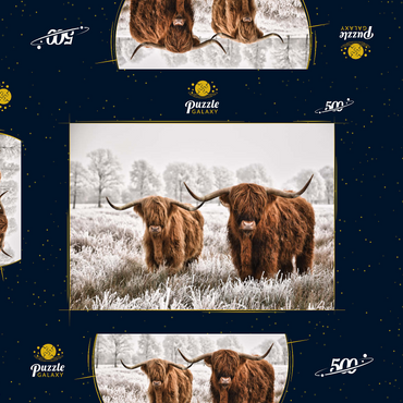 Darstellung des Puzzle Motivs Behaarte schottische Hochlandrinder in einer Winterlandschaft 500 Puzzle Schachtel 3D Modell