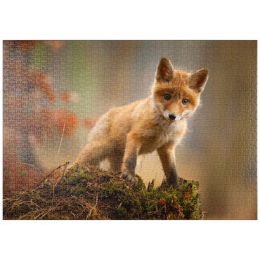 Darstellung des Puzzle Motivs puzzleplate Ein junger neugieriger Fuchs im Wald 1000 Puzzle