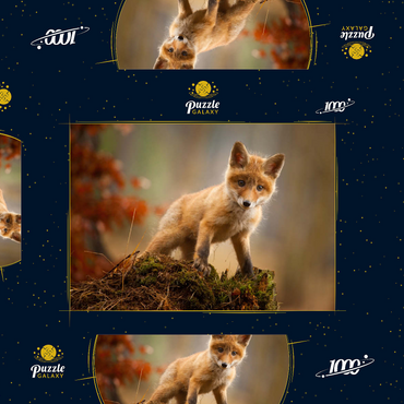 Darstellung des Puzzle Motivs Ein junger neugieriger Fuchs im Wald 1000 Puzzle Schachtel 3D Modell