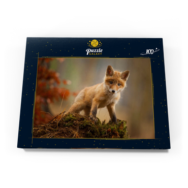 Darstellung des Puzzle Motivs Ein junger neugieriger Fuchs im Wald 100 Puzzle Schachtel Ansicht3