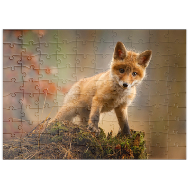 Darstellung des Puzzle Motivs puzzleplate Ein junger neugieriger Fuchs im Wald 100 Puzzle