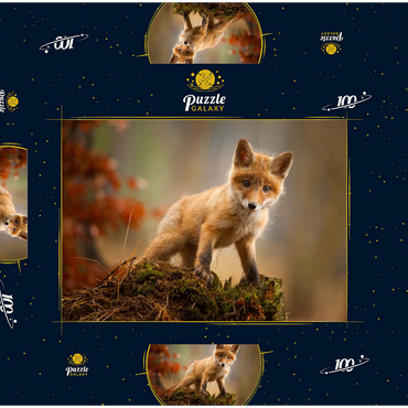 Darstellung des Puzzle Motivs Ein junger neugieriger Fuchs im Wald 100 Puzzle Schachtel 3D Modell