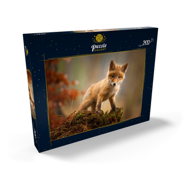 Darstellung des Puzzle Motivs Ein junger neugieriger Fuchs im Wald 200 Puzzle Schachtel Ansicht2
