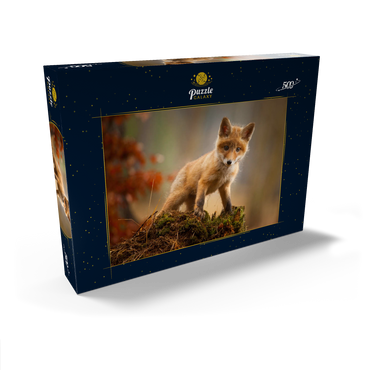 Darstellung des Puzzle Motivs Ein junger neugieriger Fuchs im Wald 500 Puzzle Schachtel Ansicht2
