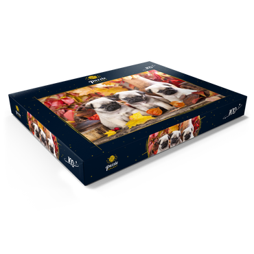 Darstellung des Puzzle Motivs Mops-Welpen 100 Puzzle Schachtel Ansicht1