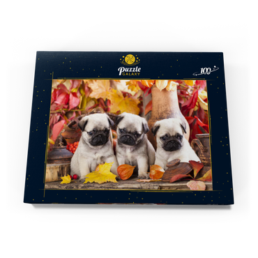 Darstellung des Puzzle Motivs Mops-Welpen 100 Puzzle Schachtel Ansicht3