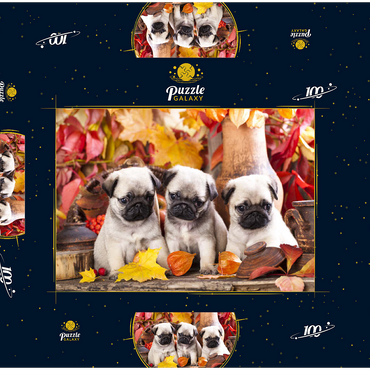 Darstellung des Puzzle Motivs Mops-Welpen 100 Puzzle Schachtel 3D Modell