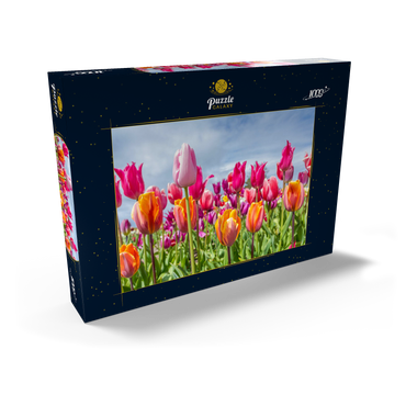 Darstellung des Puzzle Motivs Orange- gelbes Tulpenfeld 1000 Puzzle Schachtel Ansicht2