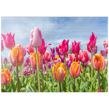 Darstellung des Puzzle Motivs puzzleplate Orange- gelbes Tulpenfeld 1000 Puzzle