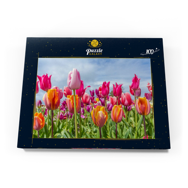 Darstellung des Puzzle Motivs Orange- gelbes Tulpenfeld 100 Puzzle Schachtel Ansicht3