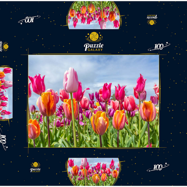 Darstellung des Puzzle Motivs Orange- gelbes Tulpenfeld 100 Puzzle Schachtel 3D Modell