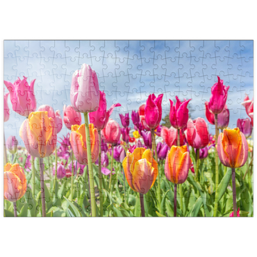 Darstellung des Puzzle Motivs puzzleplate Orange- gelbes Tulpenfeld 200 Puzzle