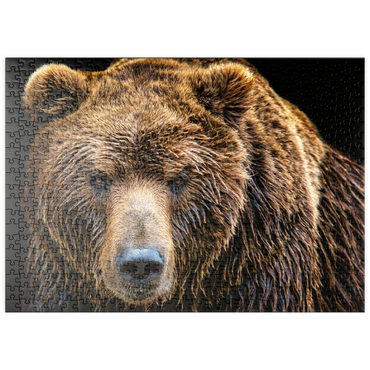 Darstellung des Puzzle Motivs puzzleplate Braunbär (Ursus arctos beringianus) 500 Puzzle