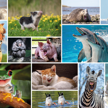 Darstellung des Puzzle Motivs Tierisch Lustig - Collage No. 1 200 Puzzle 3D Modell