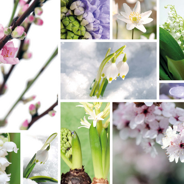 Darstellung des Puzzle Motivs Blütenpracht - Collage Nr. 2 1000 Puzzle 3D Modell