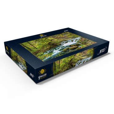 Darstellung des Puzzle Motivs Alley Spring, Missouri, USA 1000 Puzzle Schachtel Ansicht1