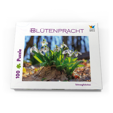 Darstellung des Puzzle Motivs Schneeglöckchen (Galanthus nivalis), Frühlingsblumen im Wald 100 Puzzle Schachtel Ansicht3