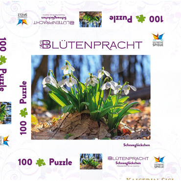 Darstellung des Puzzle Motivs Schneeglöckchen (Galanthus nivalis), Frühlingsblumen im Wald 100 Puzzle Schachtel 3D Modell