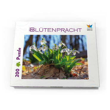 Darstellung des Puzzle Motivs Schneeglöckchen (Galanthus nivalis), Frühlingsblumen im Wald 200 Puzzle Schachtel Ansicht3