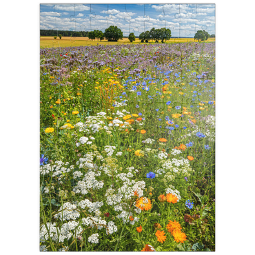 Darstellung des Puzzle Motivs puzzleplate Sommerliche Blumenwiese bei Eichstätt 100 Puzzle