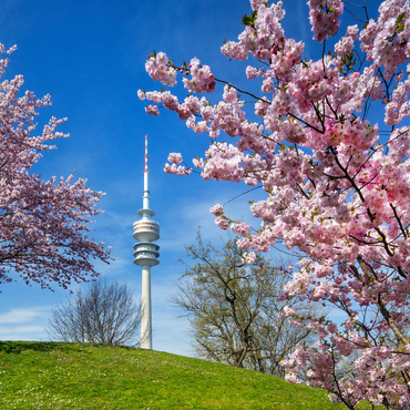 Darstellung des Puzzle Motivs Kirschblüte im Olympiapark am Olympiaturm, München, - Deutschland 200 Puzzle 3D Modell