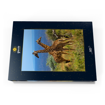 Darstellung des Puzzle Motivs Amboseli-Nationalpark, Kenia, Giraffen (Giraffa camelopardalis) 500 Puzzle Schachtel Ansicht3