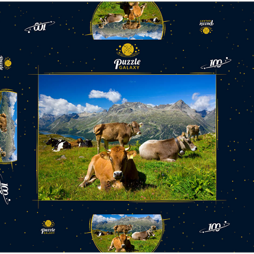 Darstellung des Puzzle Motivs Kühe am Weg vom Corvatsch-Murtel mit Piz Polaschin (3013 m) und Oberengadiner Seen, St. Moritz 100 Puzzle Schachtel 3D Modell
