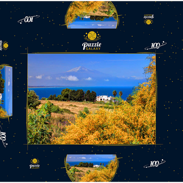 Darstellung des Puzzle Motivs Blühende Mimosen und Ferienhaus mit Blick zum Ätna (3323m) 100 Puzzle Schachtel 3D Modell