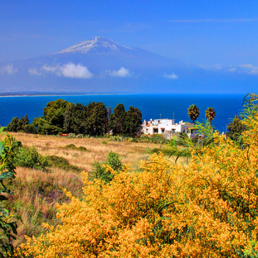 Darstellung des Puzzle Motivs Blühende Mimosen und Ferienhaus mit Blick zum Ätna (3323m) 200 Puzzle 3D Modell