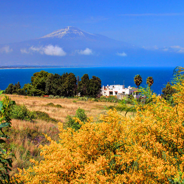 Darstellung des Puzzle Motivs Blühende Mimosen und Ferienhaus mit Blick zum Ätna (3323m) 500 Puzzle 3D Modell