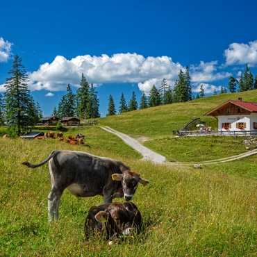 Darstellung des Puzzle Motivs Fischbachalm (1402m), Krün, Oberbayern 1000 Puzzle 3D Modell
