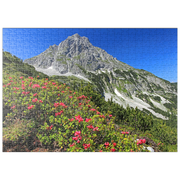 Darstellung des Puzzle Motivs puzzleplate Blühende Alpenrosen bei der Coburger Hütte, Tirol, Österreich 500 Puzzle
