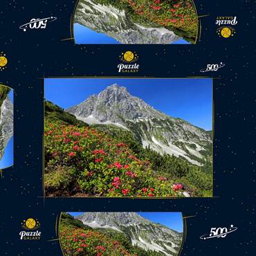 Darstellung des Puzzle Motivs Blühende Alpenrosen bei der Coburger Hütte, Tirol, Österreich 500 Puzzle Schachtel 3D Modell