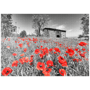 Darstellung des Puzzle Motivs puzzleplate Mohnfeld vor einem Landhaus an den Hängen über Orvieto, Umbrien 1000 Puzzle