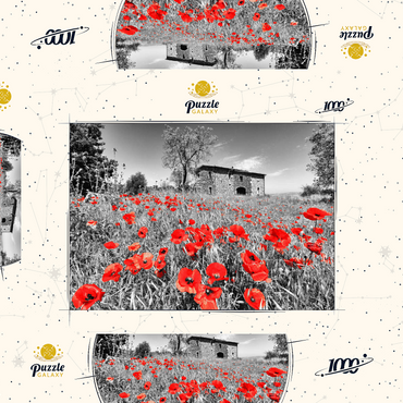 Darstellung des Puzzle Motivs Mohnfeld vor einem Landhaus an den Hängen über Orvieto, Umbrien 1000 Puzzle Schachtel 3D Modell