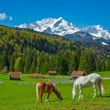 Darstellung des Puzzle Motivs Pferde bei Kaltenbrunn gegen Zugspitzgruppe (2962m), Garmisch-Partenkirchen 500 Puzzle 3D Modell