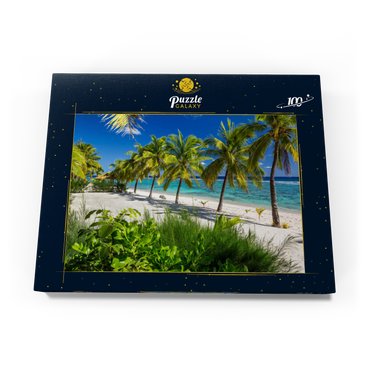 Darstellung des Puzzle Motivs Palmenstrand am Crown Beach Resort bei Arorangi, Insel Rarotonga, Cook Islands, Südsee 100 Puzzle Schachtel Ansicht3