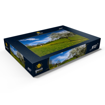 Darstellung des Puzzle Motivs Frühlingswiese in Gerold gegen Wörner (2476m) und Tiefkarspitze (2430m) bei Mittenwald, Oberbayern 1000 Puzzle Schachtel Ansicht1