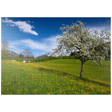 Darstellung des Puzzle Motivs puzzleplate Frühlingswiese in Gerold gegen Wörner (2476m) und Tiefkarspitze (2430m) bei Mittenwald, Oberbayern 1000 Puzzle
