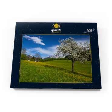 Darstellung des Puzzle Motivs Frühlingswiese in Gerold gegen Wörner (2476m) und Tiefkarspitze (2430m) bei Mittenwald, Oberbayern 200 Puzzle Schachtel Ansicht3